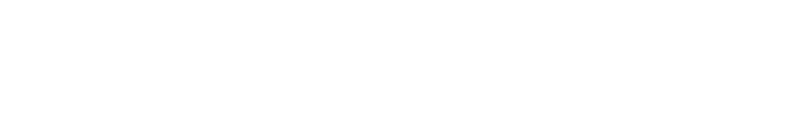 KOSHI 21